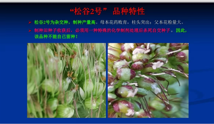 be267af4f43c6a515e18d3e698f2f84 be267af4f43c6a515e18d3e698f2f84