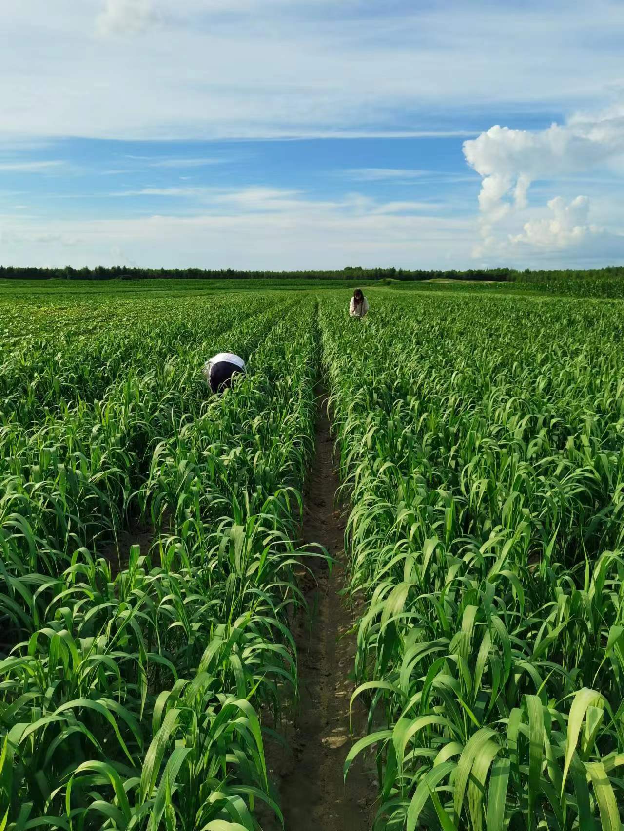 6eec98dfffb1b4db2ef249b82ed8e72