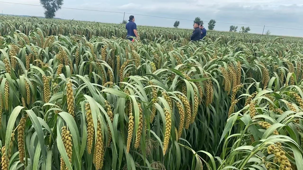 7cf085ac5c9ebe2caaa9764be430fd1